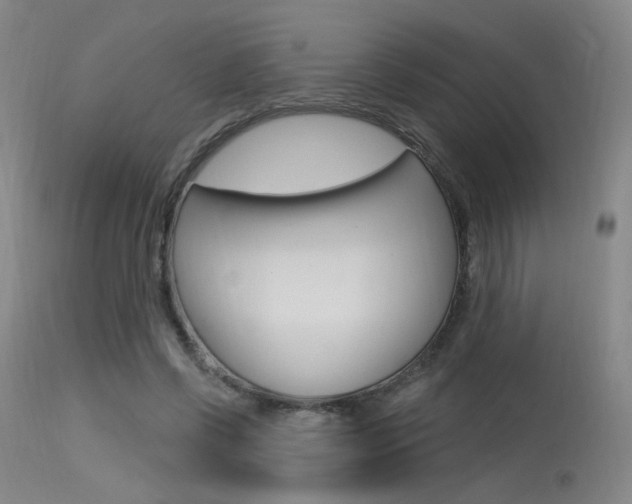 X0000115530542200911061129