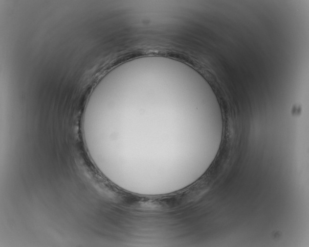 X0000115530545200911061129