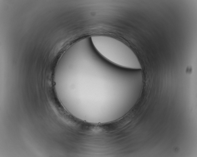 X0000115530547200911061129