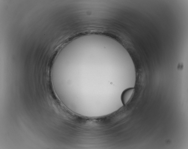 X0000115530550200911061129