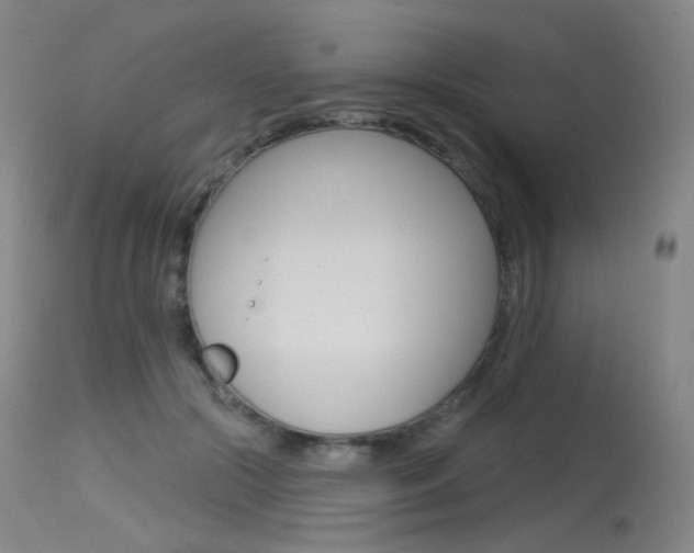 X0000115530553200911061129