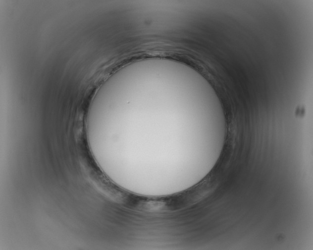 X0000115530554200911061129