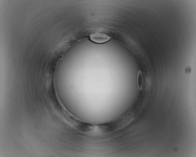 X0000115530558200911061129