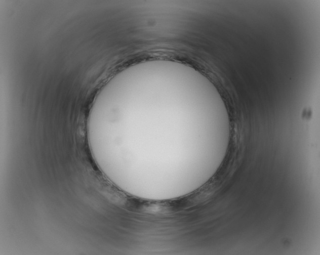 X0000115530561200911061129
