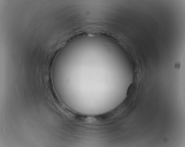 X0000115530562200911061129