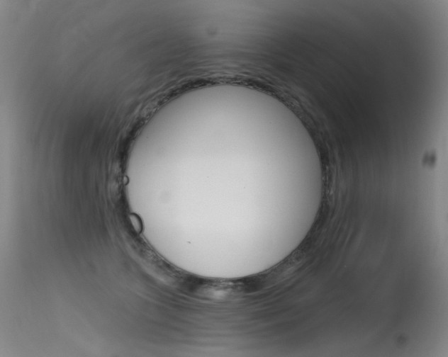 X0000115530563200911061129