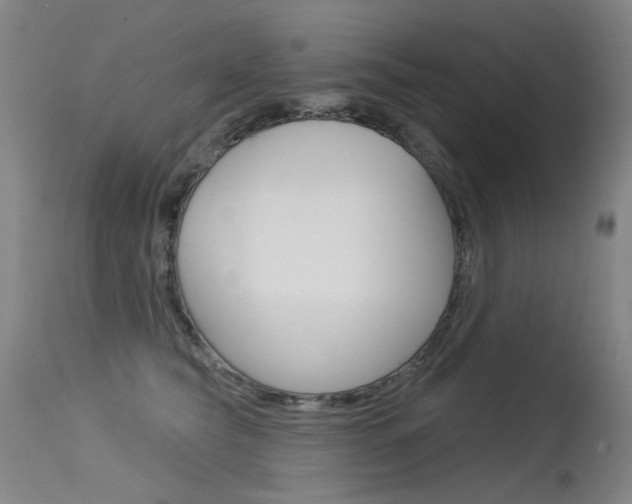 X0000115530565200911061130