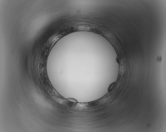 X0000115530573200911061130
