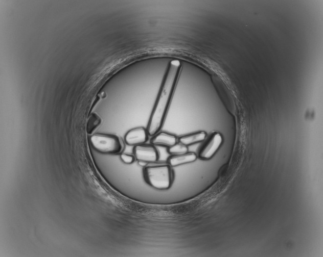 X0000115530577200911061129