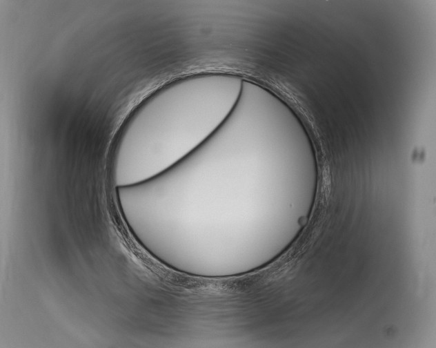 X0000115530578200911061129