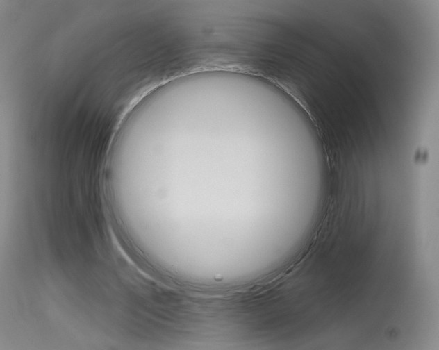 X0000115530579200911061129