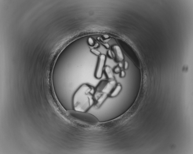 X0000115530581200911061129