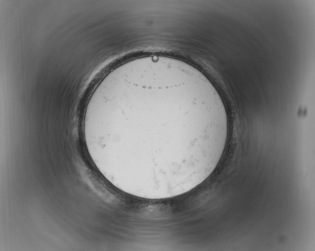 X0000115530584200911061129