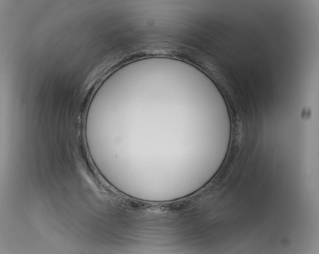 X0000115530586200911061129