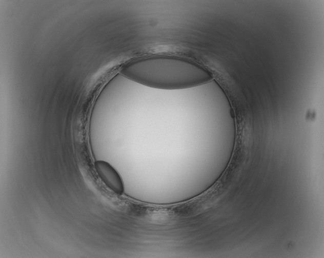 X0000115530587200911061129
