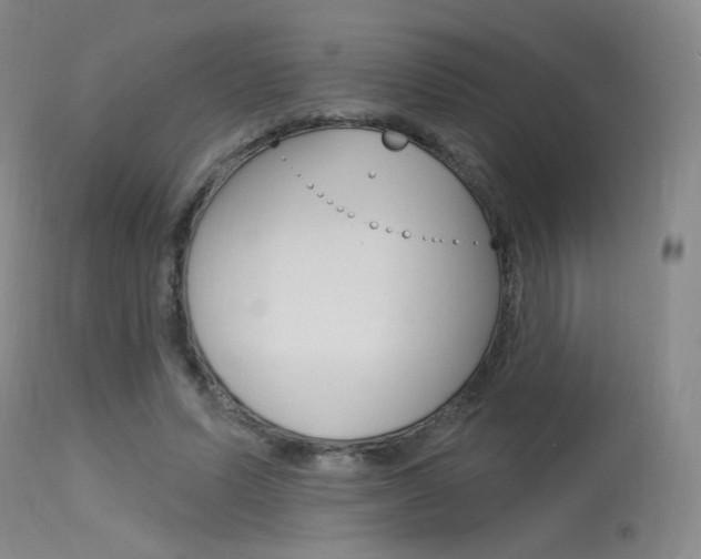 X0000115530591200911061129