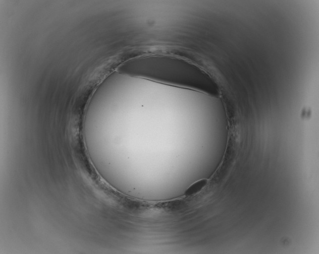 X0000115530593200911061129