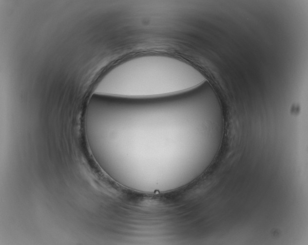 X0000115530596200911061129