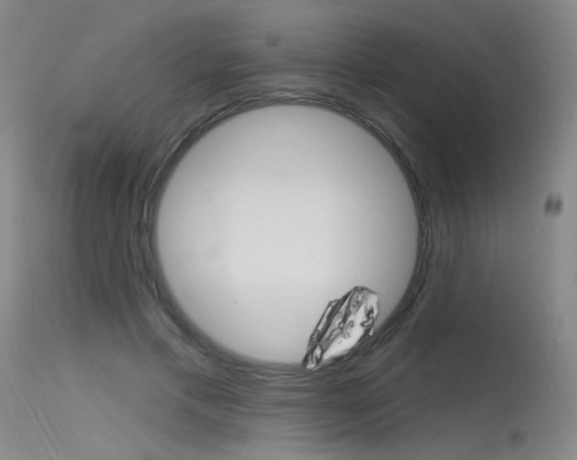 X0000115530597200911061129