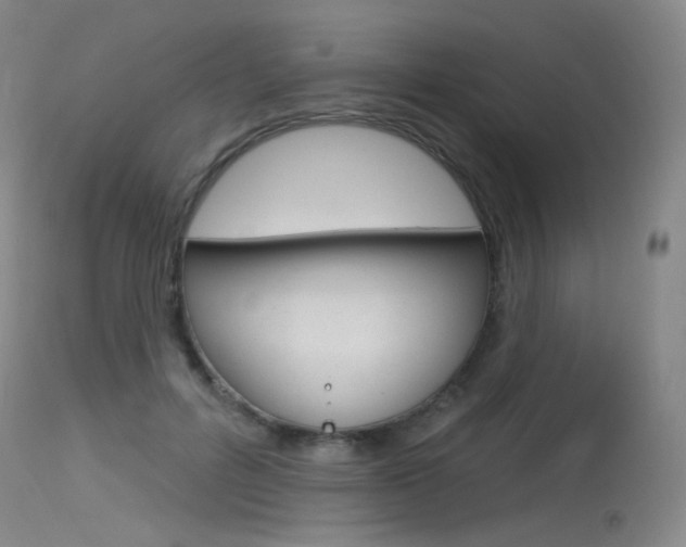 X0000115530600200911061129