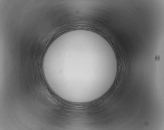 X0000115530601200911061129