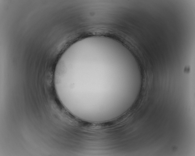 X0000115530604200911061129