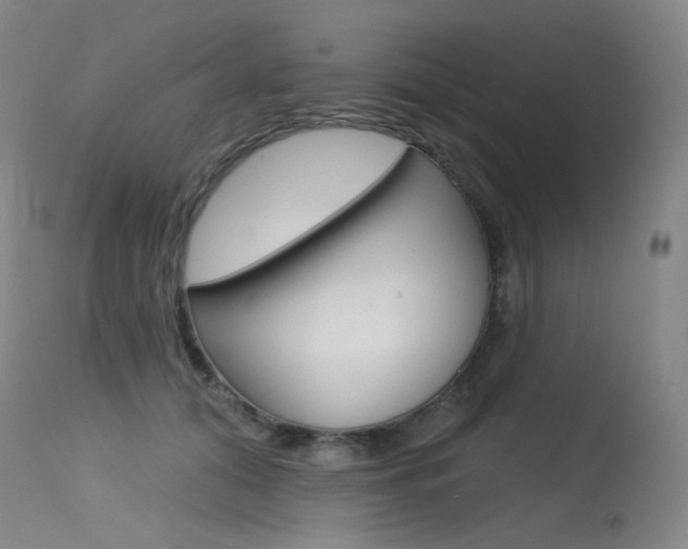 X0000115530608200911061129
