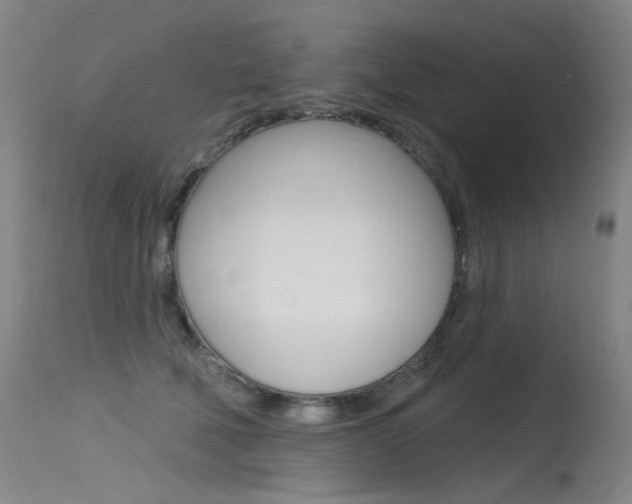 X0000115530610200911061129