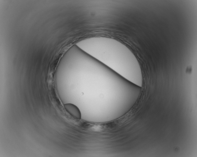 X0000115530611200911061129