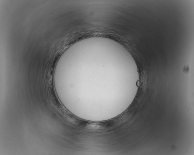 X0000115530614200911061128