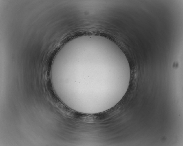 X0000115530615200911061128