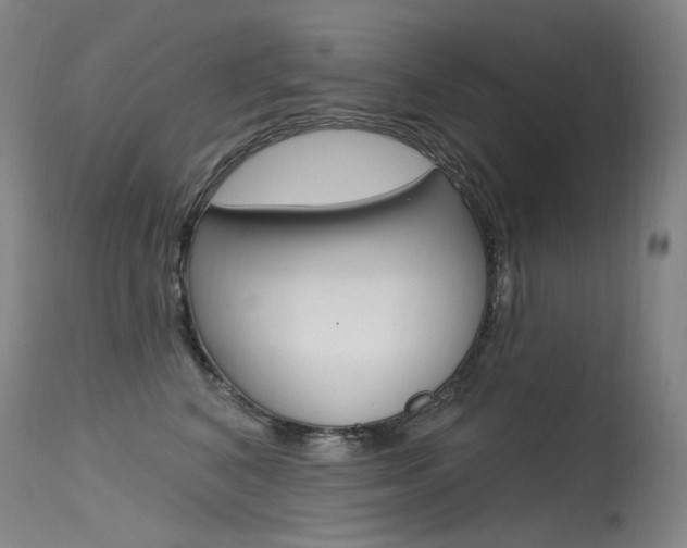 X0000115530616200911061128