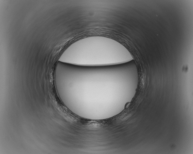 X0000115530620200911061128