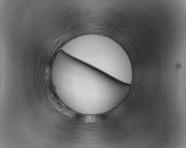 X0000115530623200911061128