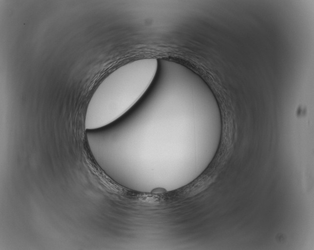 X0000115530624200911061128