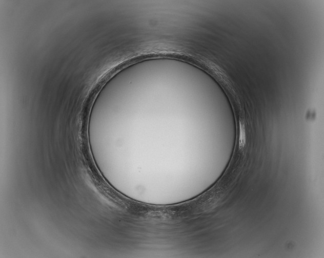 X0000115530627200911061128