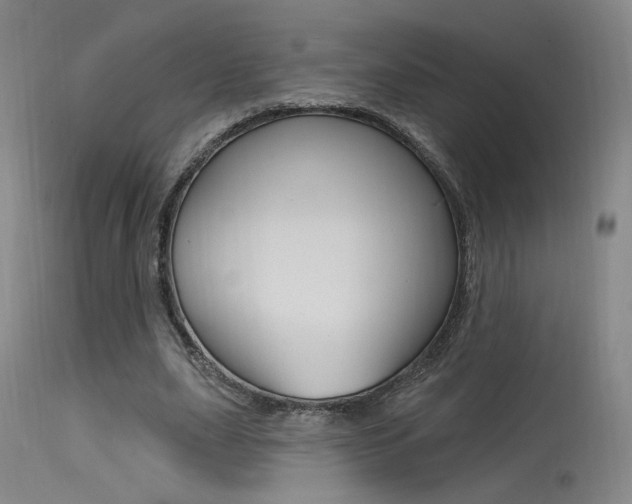 X0000115530631200911061128
