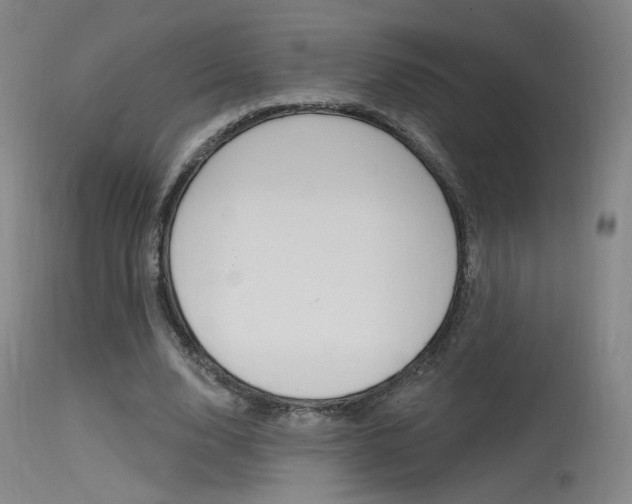 X0000115530632200911061128