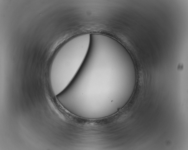 X0000115530634200911061128