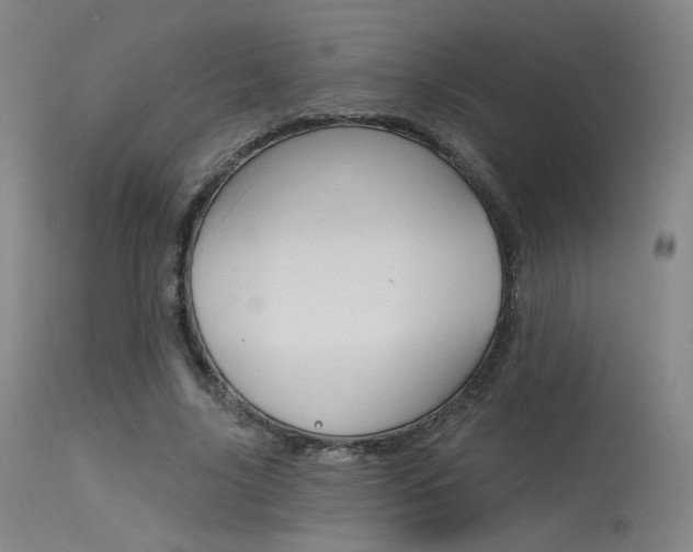 X0000115530635200911061128
