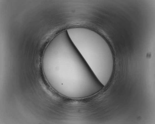 X0000115530637200911061128