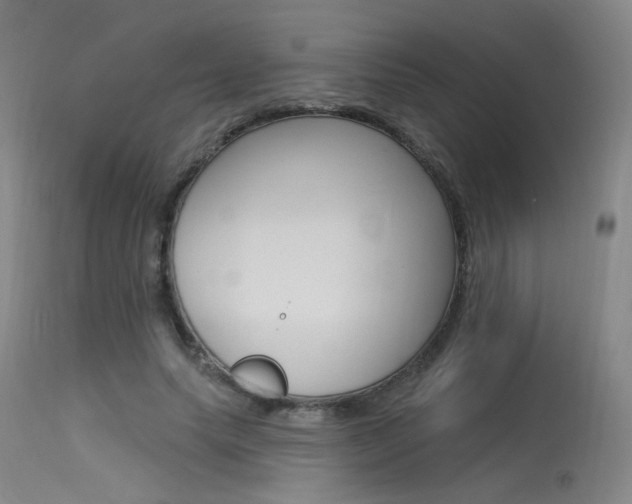 X0000115530639200911061128