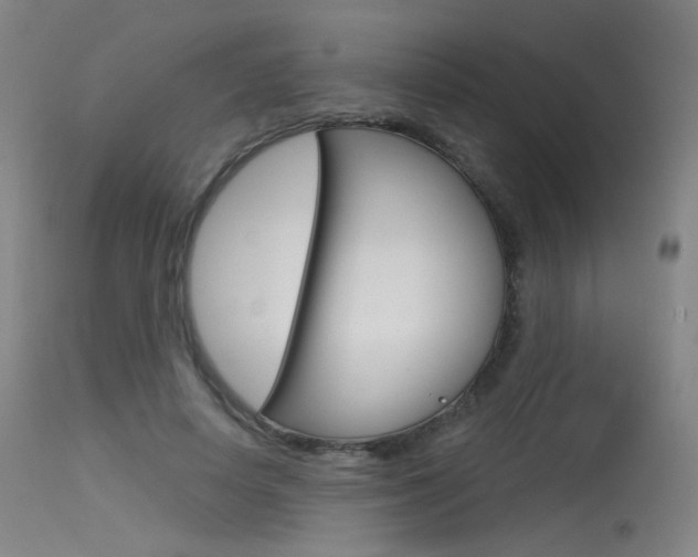 X0000115530642200911061128