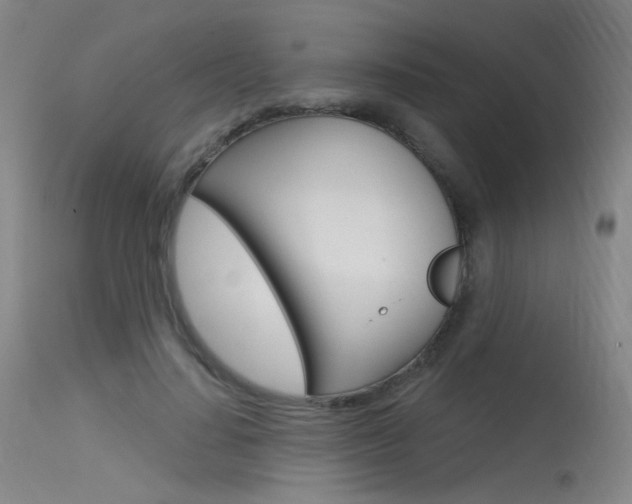 X0000115530644200911061128
