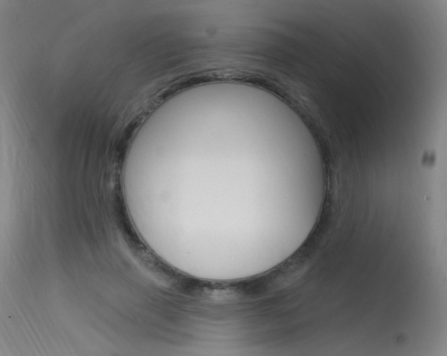 X0000115530645200911061128