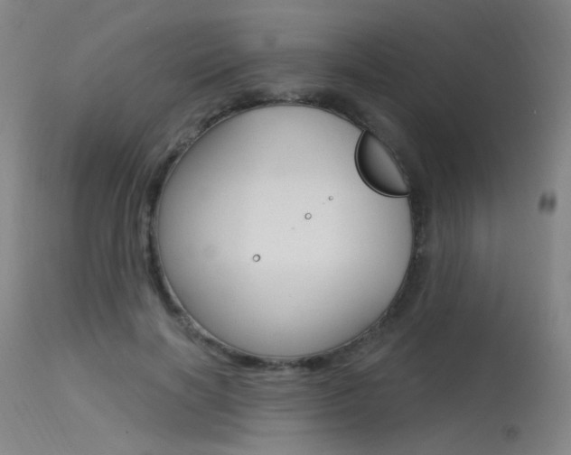 X0000115530646200911061128