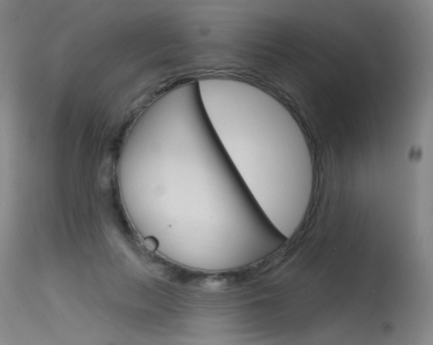 X0000115530647200911061128