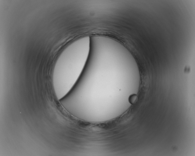 X0000115530648200911061128