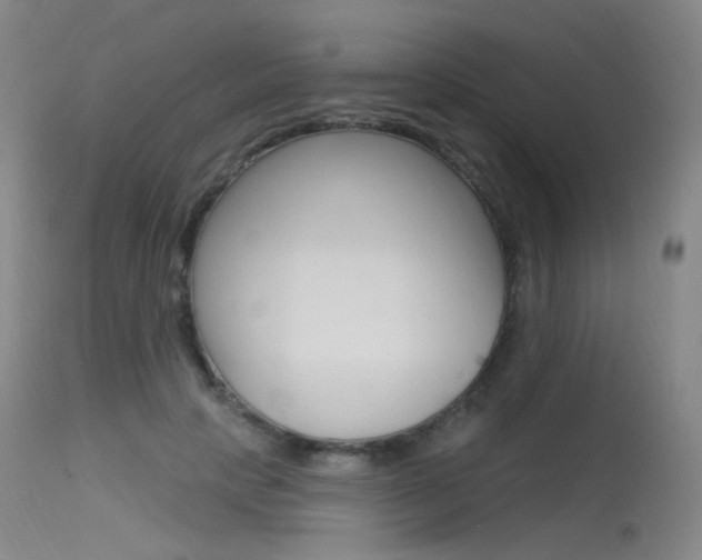 X0000115530649200911061128