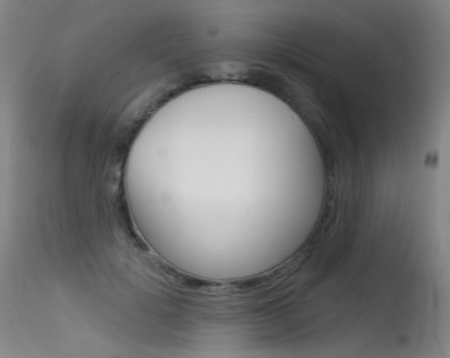 X0000115530652200911061128